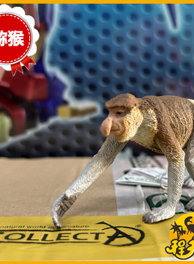 英国CollectA我你他长鼻猴80014 仿真野生东南亚猕猴动物模型玩具
