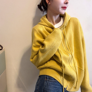 欧货女装 新款 毛衣外套潮 女欧洲站2025冬装 复古连帽山羊绒针织开衫