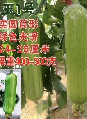 蔬菜瓜果丝瓜种子大全肉丝瓜种籽短棒丝瓜翠玉1号丝瓜庭院春夏种