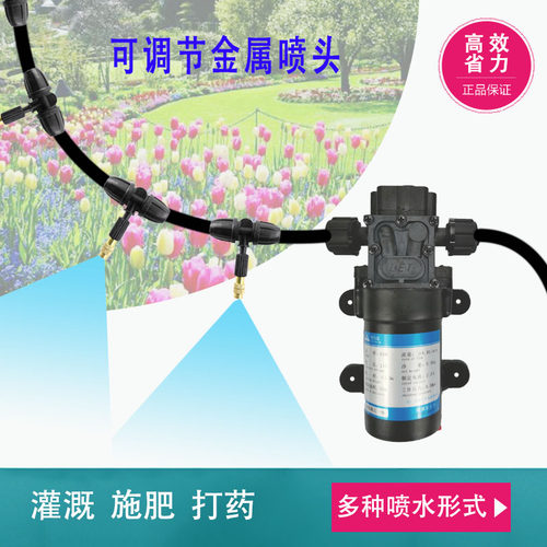 花园喷雾泵除尘打药降温自吸泵