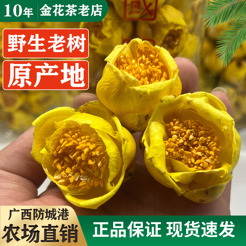 【自饮款】广西防城金花茶野生特级冻干金花茶冲泡罐装散装礼盒装