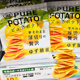 土豆片零食新品 日本厚切湖池屋纯切薯片柚子胡椒味52g 包邮 6包