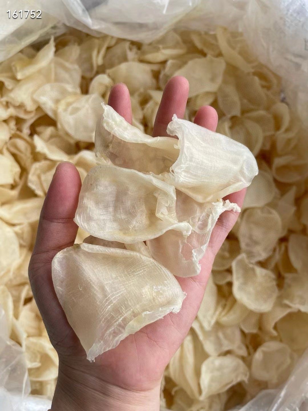 鸡蛋胶缅鱼胶花胶130头左右足干厚肉不苦性价比高酒店常用250克装