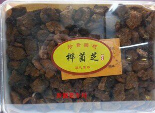 震撼低价桦菌芝适合三高人群500G装