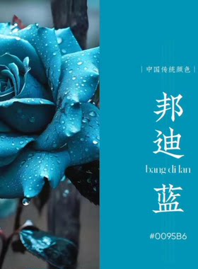 可利美鲜花专用自喷漆花艺喷染色剂碎冰蓝玫瑰乌梅子酱 暮色森林