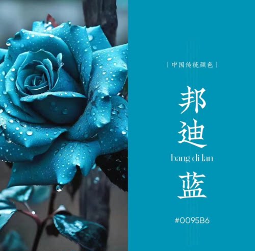 可利美鲜花专用自喷漆花艺喷染色剂碎冰蓝玫瑰乌梅子酱 暮色森林