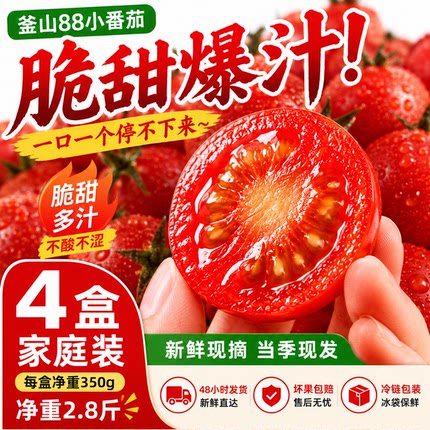 釜山88小番茄4盒装脆甜爆汁圣女果新鲜水果净重2.8斤