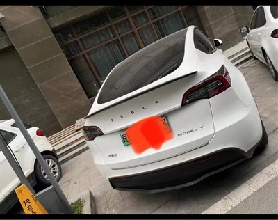 特斯拉model3碳纤维尾翼 特斯拉model Y碳纤维尾翼 特斯拉P款尾翼