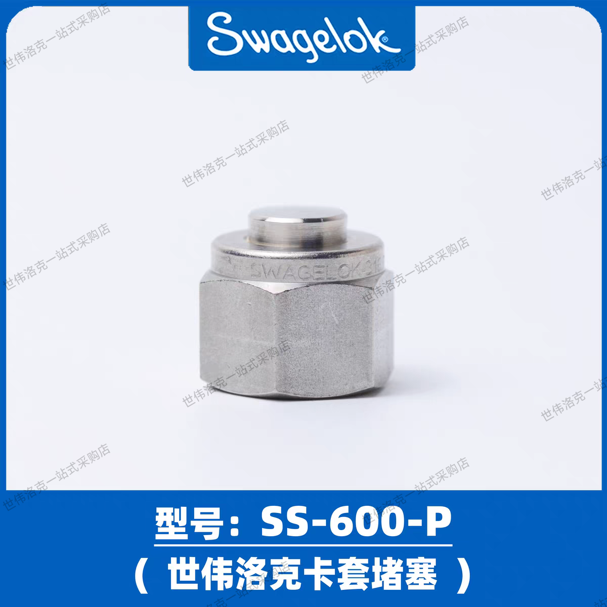 美国进口世伟洛克SWAGELOK卡套堵头 堵头 堵塞SS-600-P