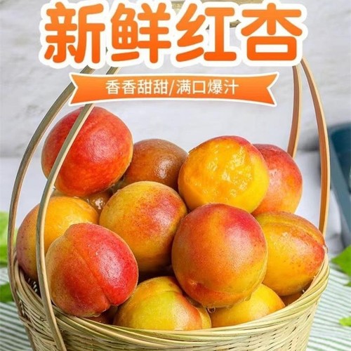 陕西大荔甜杏子红杏水果新鲜现货当季应季现摘现发孕妇特级大果4J
