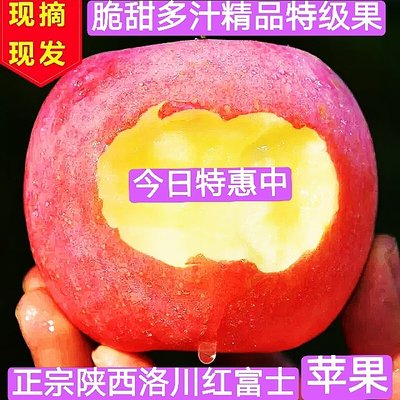 陕西洛川红富士苹果包邮新鲜脆甜现摘现发产地直发精品特级大果8J