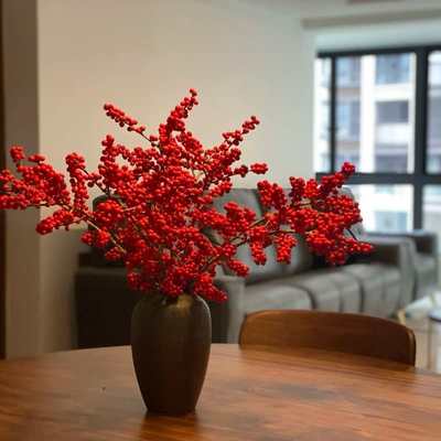 北美冬青鲜红果真花水培年宵花