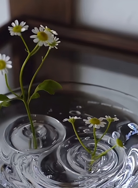 透明悬浮日式简约插花固定器
