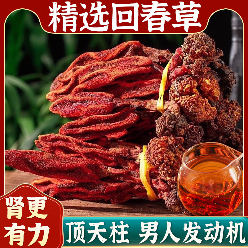 云南深山回春草500g克不