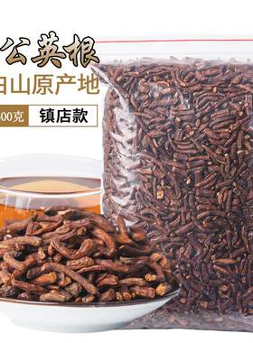 长白山野生天然特级蒲公英根茶