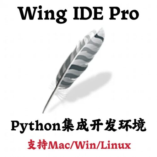 Wing IDE Pro 12.0.2 轻量级Python集成开发环境安装咨询指导