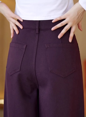 紫色弯刀牛仔裤子女2025新款春秋加绒加厚高腰宽松直筒垂感阔腿裤