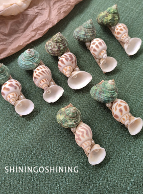 天然海螺贝壳发夹海洋百搭珍珠发卡刘海夹侧边碎发夹子头饰鸭嘴夹