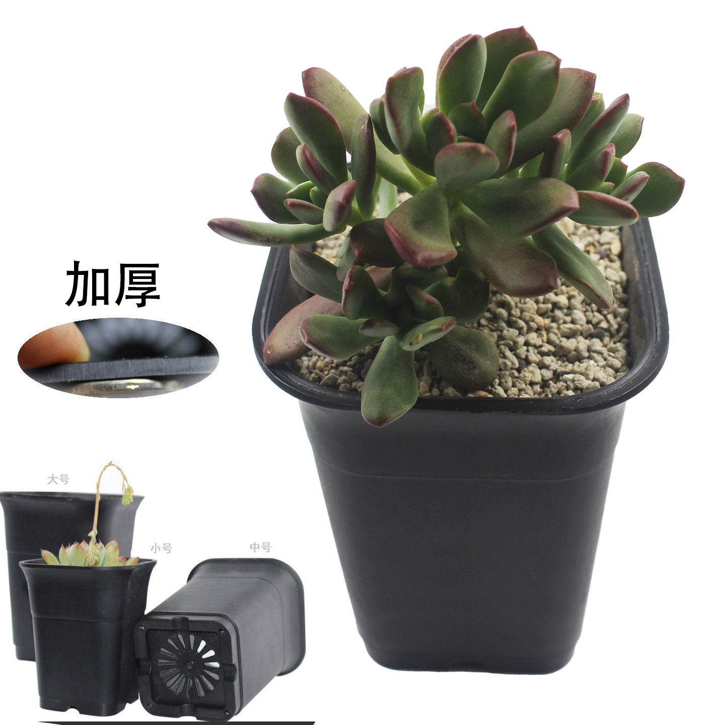 多肉老桩种植花盆透气加深加厚款