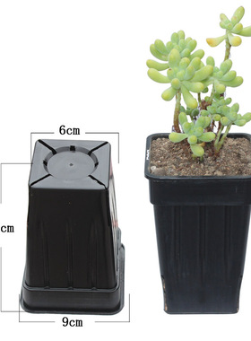 促销加深9cm塑料黑方多肉植物种植花盆盆栽绿植石斛育苗黑色加高