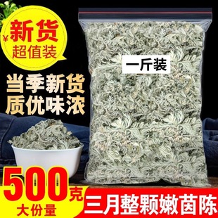 茵陈茶500g茵陈三月绵茵陈草药新鲜非中药材新货精选干货三月茵陈