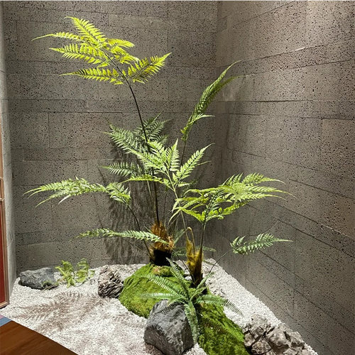侘寂风仿真蕨类植物造景