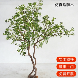 高端马醉木仿真绿植造景室内餐厅大型仿生绿植假树仿真树装饰造景