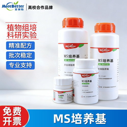 ms培养基茉钡特精准配制防黄化