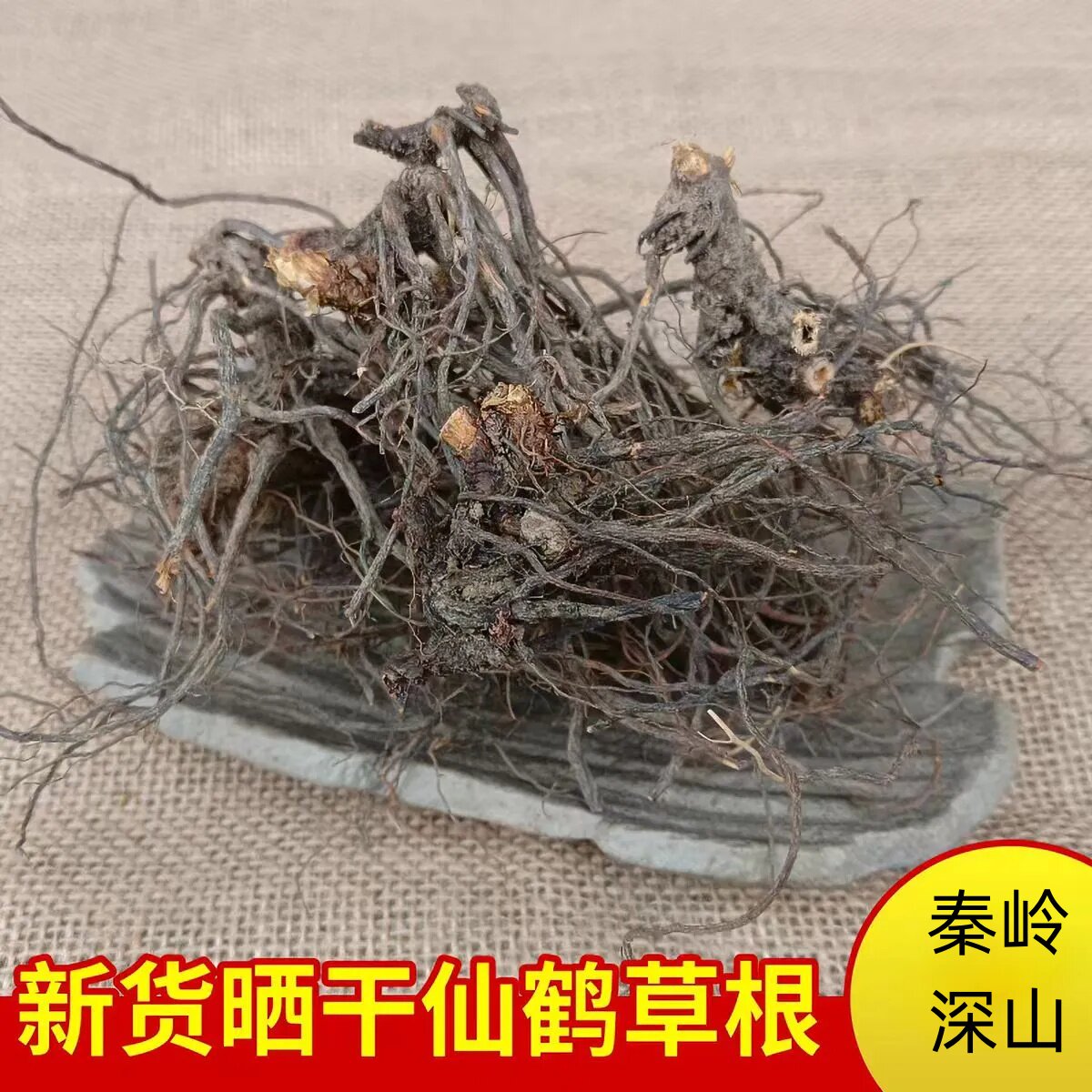 野生秦岭晒干仙鹤草根图片