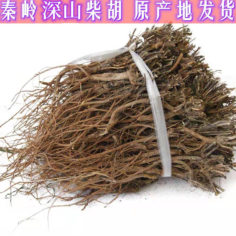 陕西秦岭中药材柴胡柴胡根黑柴胡深山叶柴胡根北柴胡根正品500克