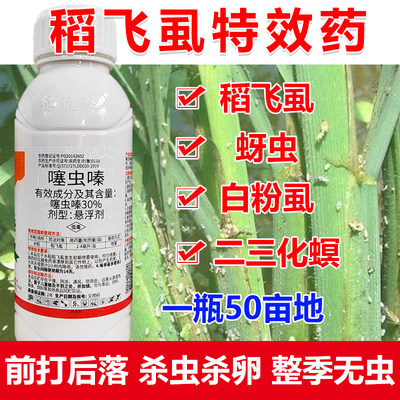 稻飞虱杀虫剂噻虫嗪水稻专用杀虫剂蓟马蚜虫稻飞虱专用杀虫药