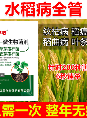 水稻病全治水稻杀菌剂水稻专用药水稻叶斑病恶苗病稻瘟病稻曲全管