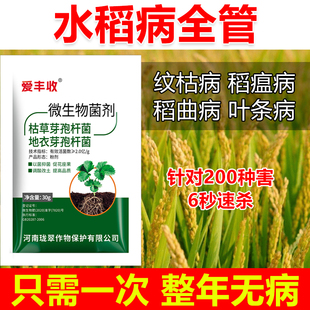 水稻病全治水稻杀菌剂水稻专用药水稻叶斑病恶苗病稻瘟病稻曲全管