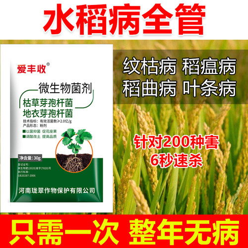水稻病全治水稻杀菌剂水稻专用药水稻叶斑病恶苗病稻瘟病稻曲全管