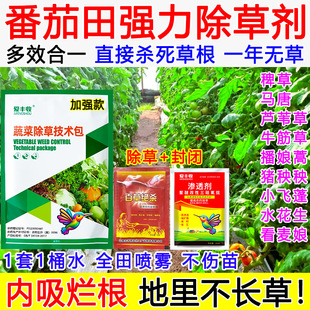 番茄除草剂番茄田苗后除草专用药强效死根烂根封闭不伤苗禾阔双除