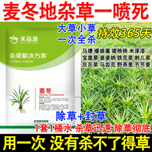 麦冬田苗后除草剂药材麦冬专用除草剂强效杀草死根型不伤药材正品