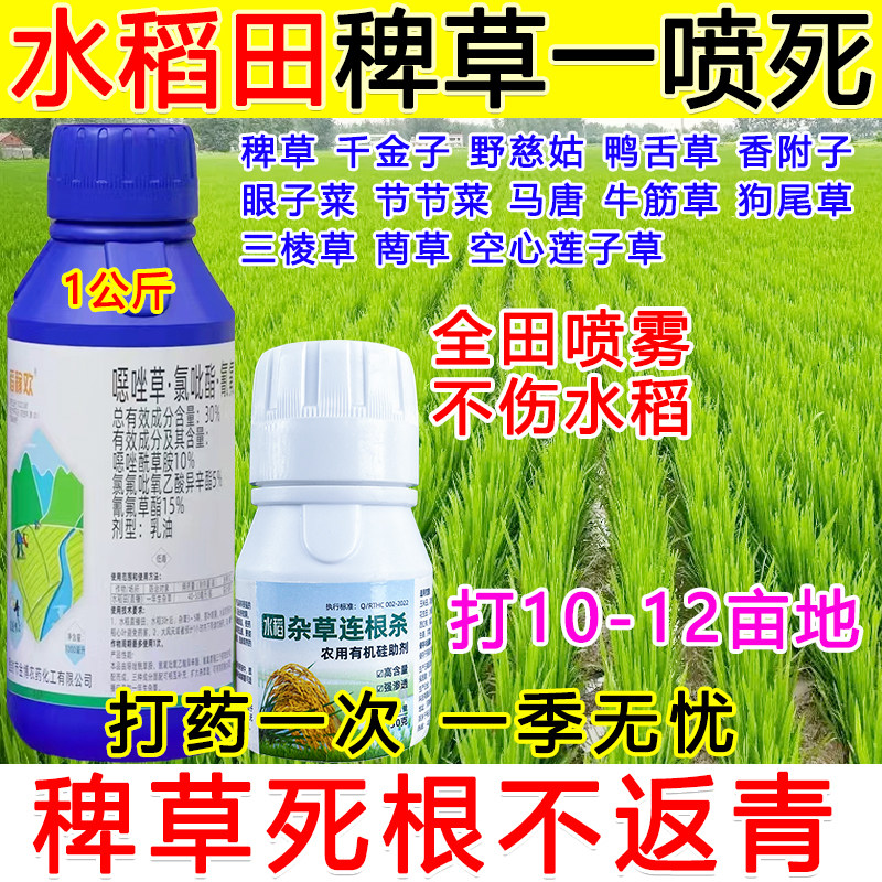 水稻稗草除草剂水稻田苗后专用除草剂安全型稗草千金子死根不伤苗,农用物资,除草剂,淘宝优惠券,粉丝福利购,淘宝优惠卷