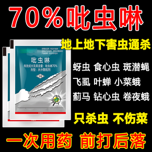 正品70%吡虫啉比虫林农用打虫药强效 吡蚜啉花卉蔬菜木虱专用药