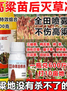 高粱除草剂高粱苗后专用除草剂不伤高粱禾阔双除安全型高粱除草剂