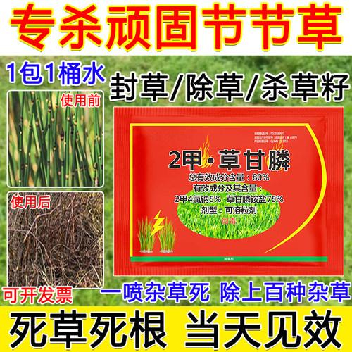 笔管草除草剂强效死根型2甲草甘膦专杀节节草专用打草药颗粒正品K