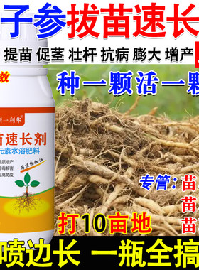 太子参提苗爆长剂太子参强效营养液太子参专用生根壮苗增产叶面肥