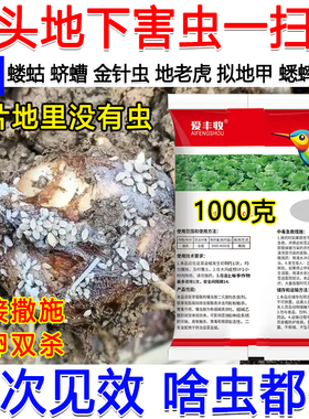 芋头地下害虫专用药噻虫胺杀虫剂专杀地下害虫地老虎蛴螬蝼蛄正品