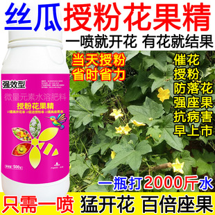 丝瓜授粉药壮花座果灵丝瓜催花素沾花素保花保果膨大抗病肥料正品