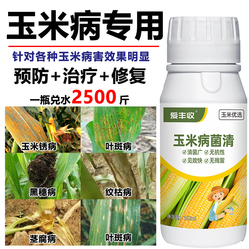 玉米杀菌剂玉米病全管玉米叶斑病预防治疗玉米锈病微生物菌肥
