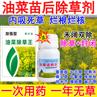 油菜专用除草剂禾阔双除杂草牛筋草稗草马唐死根烂根油菜田除草药