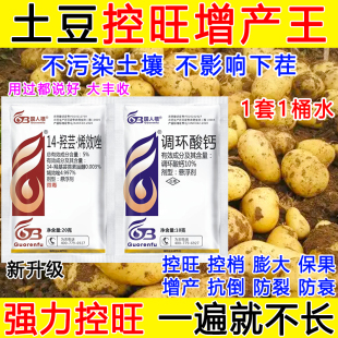 土豆控旺增产专用药土豆矮壮素膨大控旺调节剂保花保果正品烯效唑