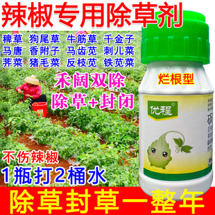 辣椒专用除草剂辣椒苗后锄草剂正品禾阔双除草死根定向喷雾不伤苗
