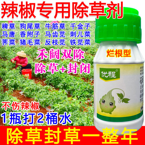辣椒专用除草剂辣椒苗后锄草剂正品禾阔双除草死根定向喷雾不伤苗