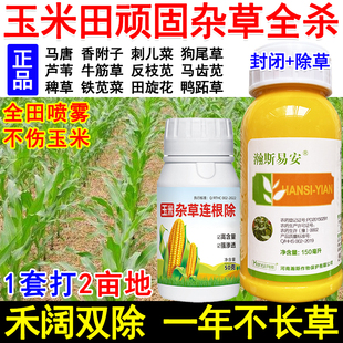玉米苗后除草剂玉米强效除草剂烟嘧莠去津禾阔双除草死烂根不伤苗