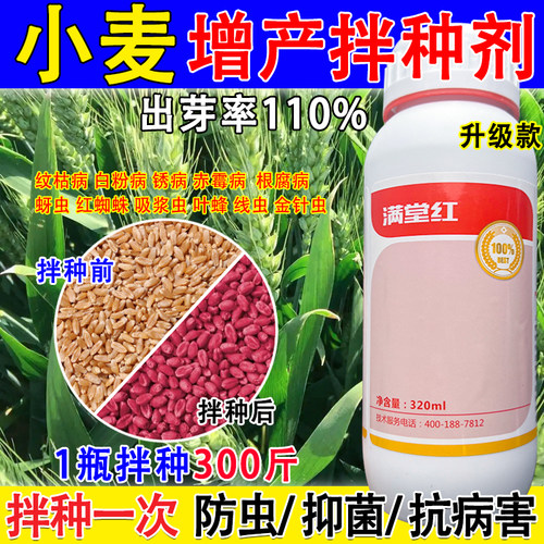 小麦包衣剂小麦专用拌种剂种衣剂小麦防病防虫催芽壮苗拌种药正品
